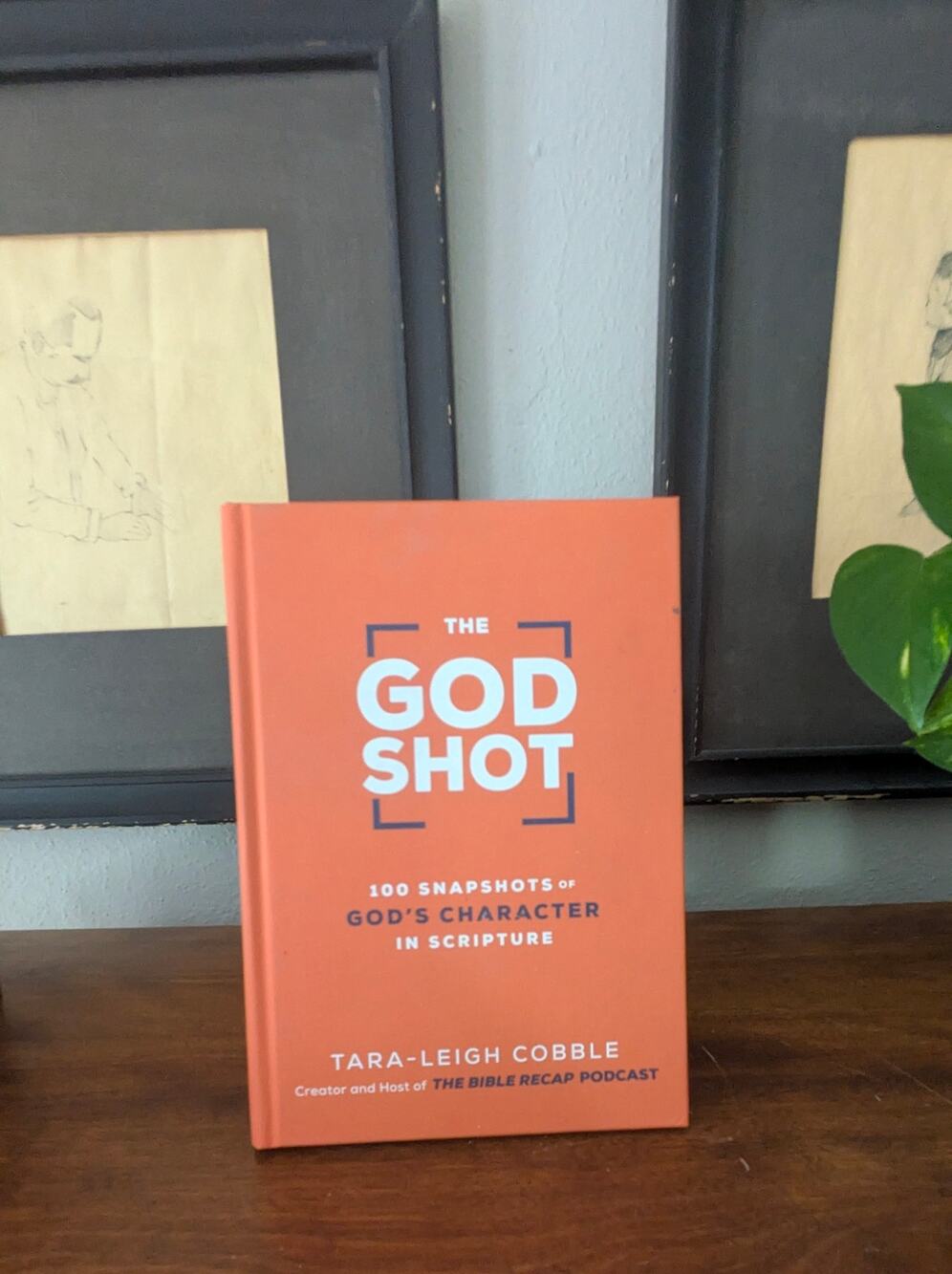 The God Shot Tara-Leigh Cobble Hardcover Christian Devotional